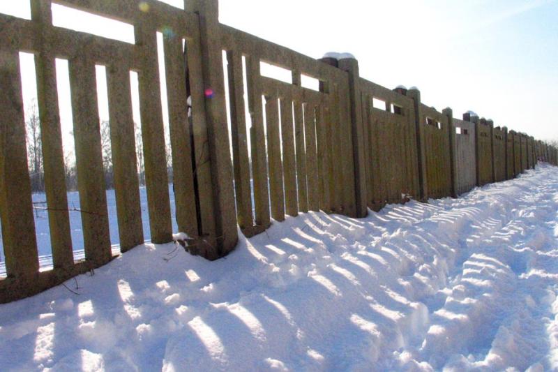 gate and shadow.jpg