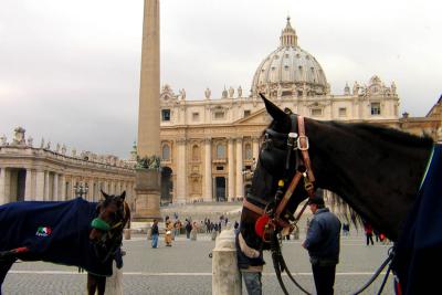 horses at St. Peter.jpg