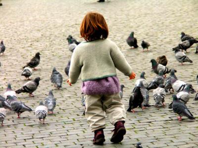 playing with pigeons.jpg