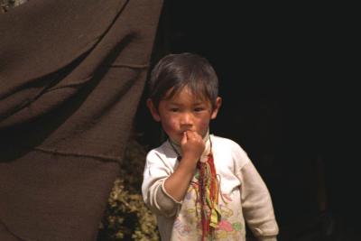 Kham Tibetan nomad boy.jpg