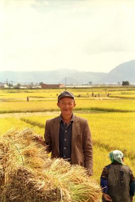 farmer near Xizhou Dali.jpg