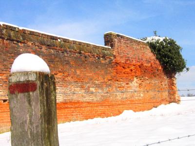 red brick wall.jpg