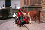 Indians and lama or alpaca
