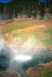 yellowstone