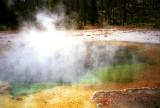 yellowstone