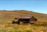 bodie