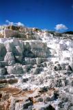 mammoth springs