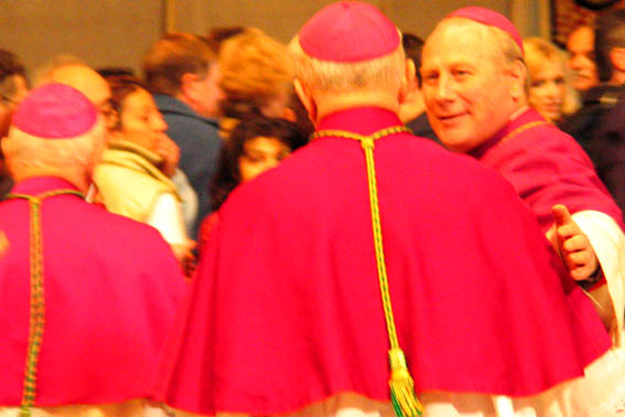 a moment between cardinals 2.jpg