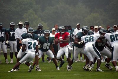 dmac009.jpg