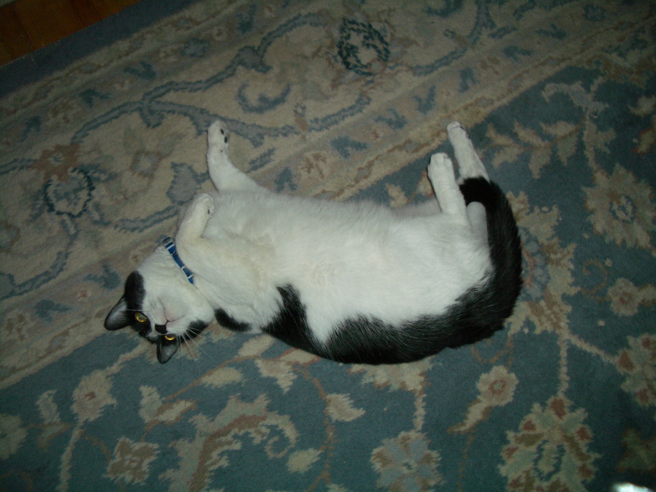 Max  Jun 2004