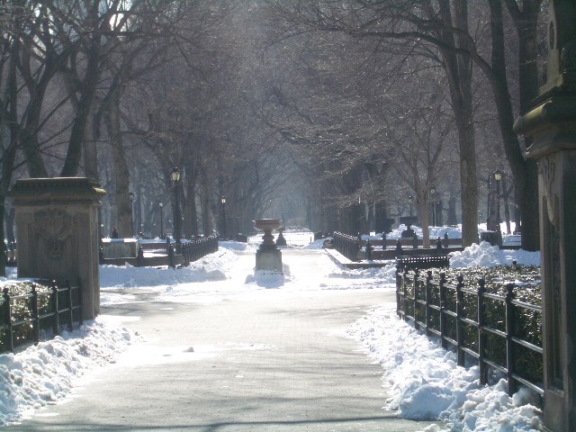 The Mall