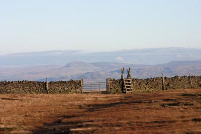 top of Pendle Hill