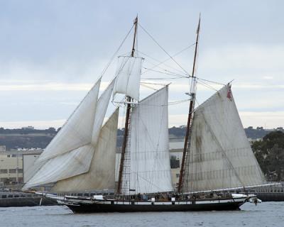 Lynx - Port Side