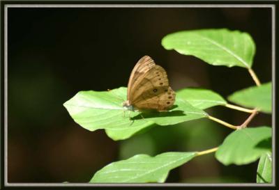 160_6042 copy.jpg