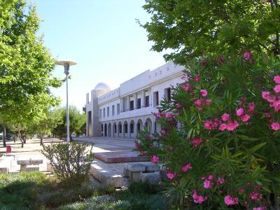    University of Algarve