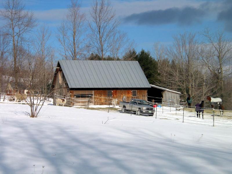 Llama Farm  on New Boston Road