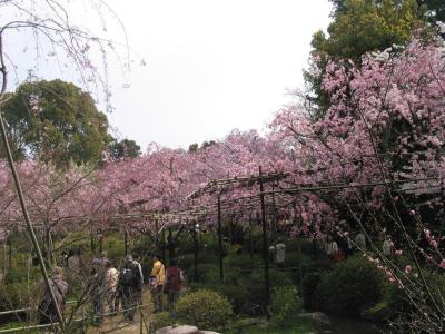 Heian Jingu Palace