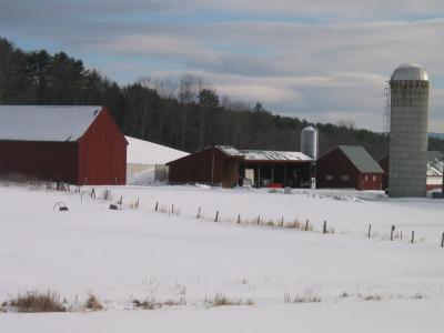 Norwich farm with silo