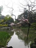 Heian Gardens