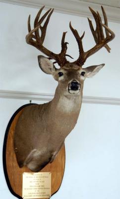 deer 27 points.jpg