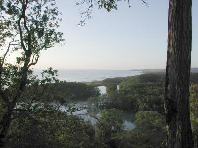 Nosara River & Ostional beach