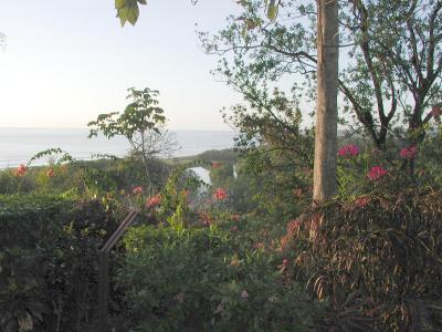 View from Lagarta Lodge (Nosara)