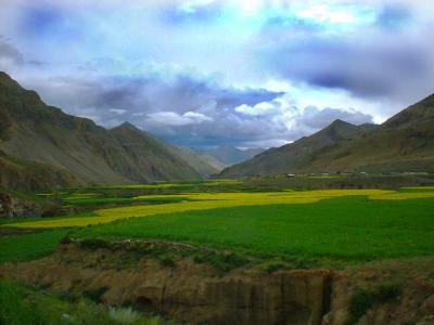 Tibet