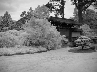 Golden Gate Park IR