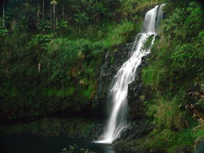 Kulaniapia Falls- Hilo