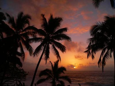 Puna Sunrise #4
