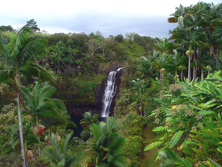 Kulaniapia Falls #2