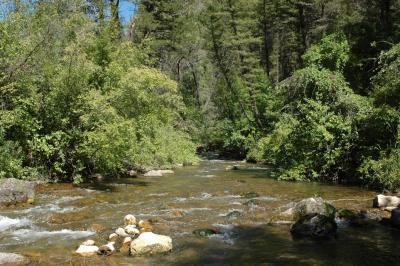 Palisades Creek DSC_0016.jpg