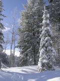 Winterszene -- Winter Scene, Buckskin Area