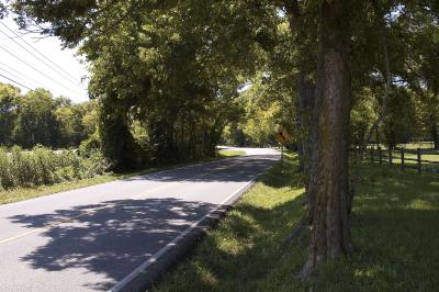 Around Franklin and Leiper's Fork