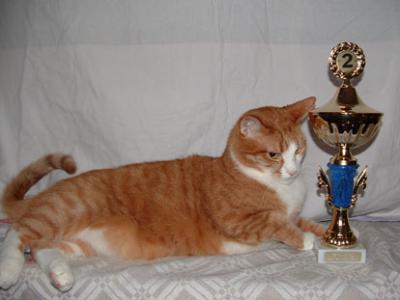 OCC=2 nd Best Domestic Cat 2004