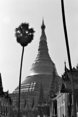 Rangoon/Shwedagon