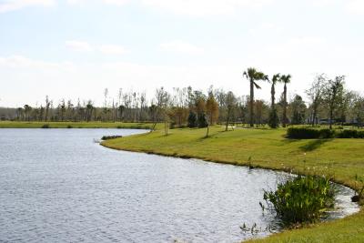 Img_0061.jpg