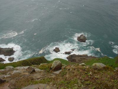 The rocks from 600 feet elev. on Point Reyes