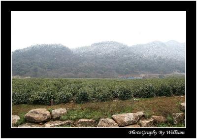 scenic_hangzhou