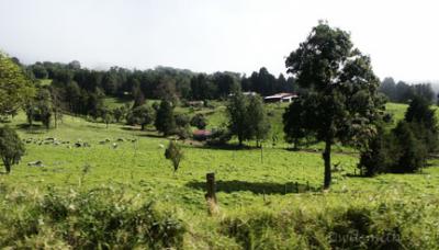 PICT0669.jpg