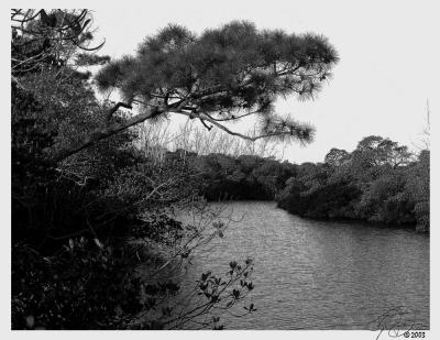 862 Xero Litho Filter