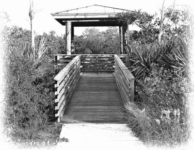 858 Sheri's Sketch 2.1 BW