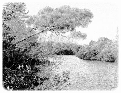 862_BW Conversion_Sketched