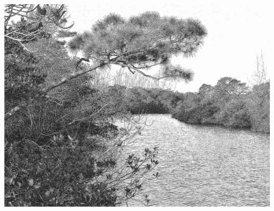 862 copy 3 B_W_resize.jpg