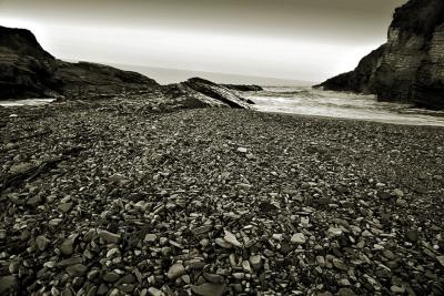 MDO3-BW.jpg