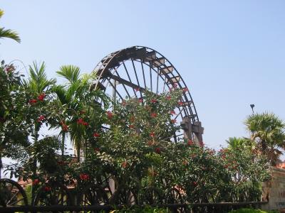 u40/worldhistory/medium/39371455.IMG_0894.jpg