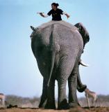 elephant boy