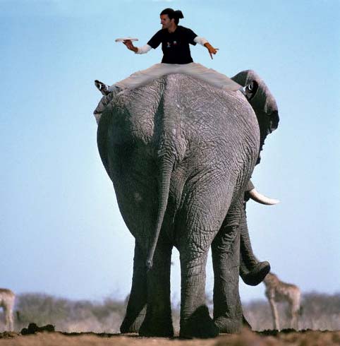 elephant boy