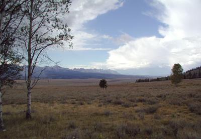 The Sawtooth Sky