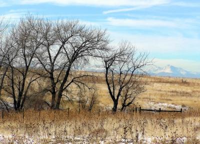 plains_conservation_center